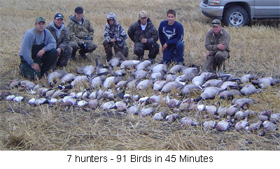 Giant Canada Goose Hunting and Duck - Waterfowl in Manitoba